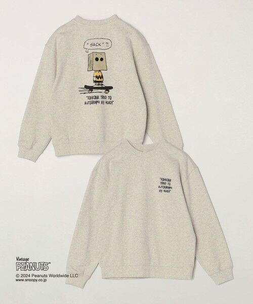 SHIPS/VbvX SHIPS any: SNOOPY R{ J`[ OtBbN obN vg XEFbg CgO[ 120