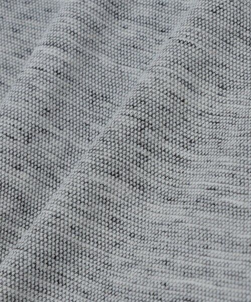 SHIPS / シップス ポロシャツ | 【WEB限定】SHIPS: リネンミックス カラーネップ ボタンダウン ロングスリーブ ポロシャツ | 詳細5