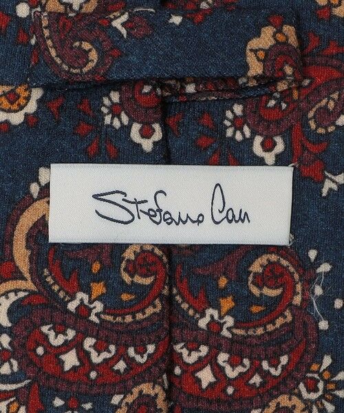 SHIPS / シップス ネクタイ | 【SHIPS別注】Stefano Cau: ウール プリント ペイズリー ネクタイ | 詳細2