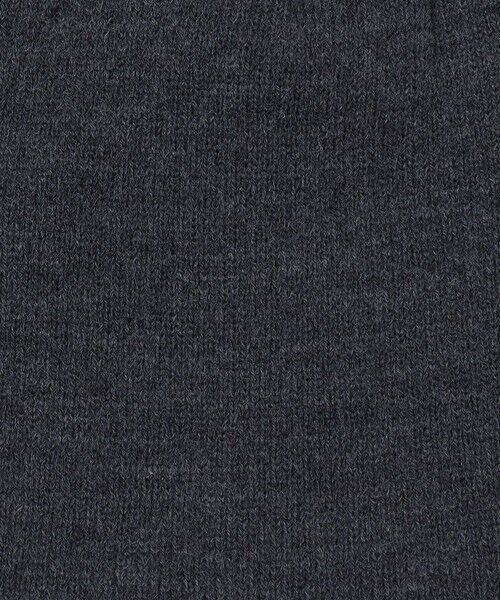 SHIPS / シップス ニットキャップ | City Ambient Products: スーパーストレッチ クラシック ビーニー | 詳細3