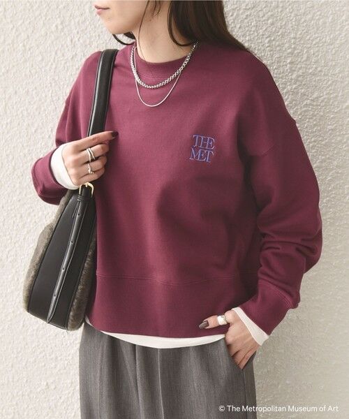 SHIPS / シップス スウェット | SHIPS Colors:The Met コラボ エンブロイダリー ボクシー スウェット ２ | 詳細15