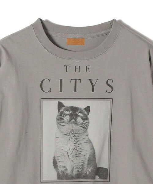 SHIPS / シップス カットソー（半袖以外） | 《予約》【SHIPS別注】Odub: フォト プリント クロップド ロングスリーブ TEE | 詳細29