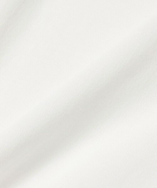SHIPS / シップス ポロシャツ | FRED PERRY:G2174SHEER TIPPED POLO | 詳細17