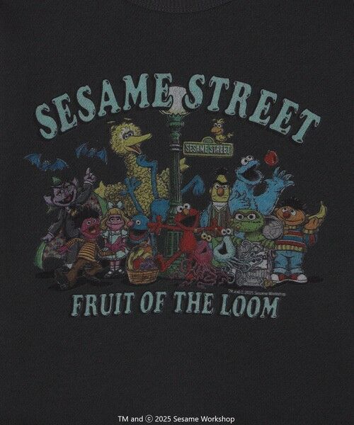 SHIPS / シップス スウェット | SESAME STREET meets FRUIT OF THE LOOM: プリント スウェット<KIDS> | 詳細14