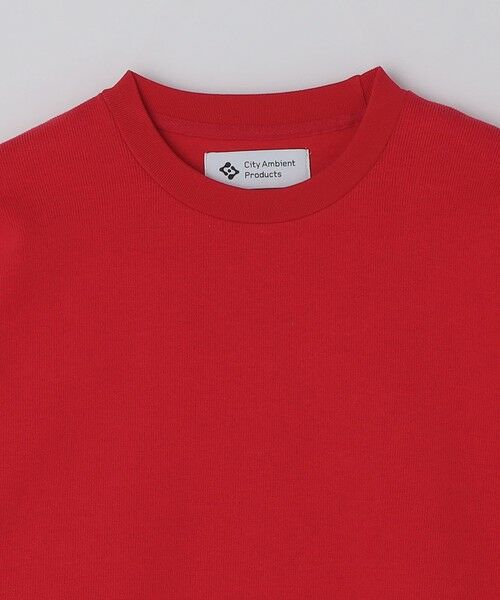 SHIPS / シップス Tシャツ | City Ambient Products: ソフト テンジク ロングスリーブ | 詳細7