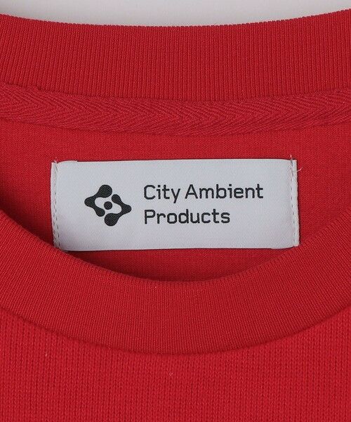 SHIPS / シップス Tシャツ | City Ambient Products: ソフト テンジク ロングスリーブ | 詳細9
