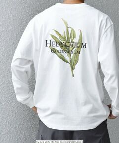 SHIPS / シップス Tシャツ | 【SHIPS any別注】NYBG: ボタニカル プリント リラックス Tシャツ (ロンT)◆