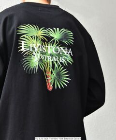 SHIPS / シップス Tシャツ | 【SHIPS any別注】NYBG: ボタニカル プリント リラックス Tシャツ (ロンT)◆