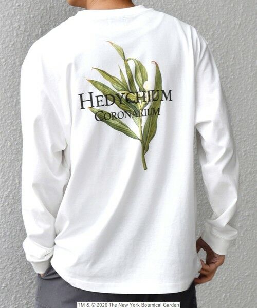 SHIPS / シップス Tシャツ | 【SHIPS any別注】NYBG: ボタニカル プリント リラックス Tシャツ (ロンT)◆ | 詳細4