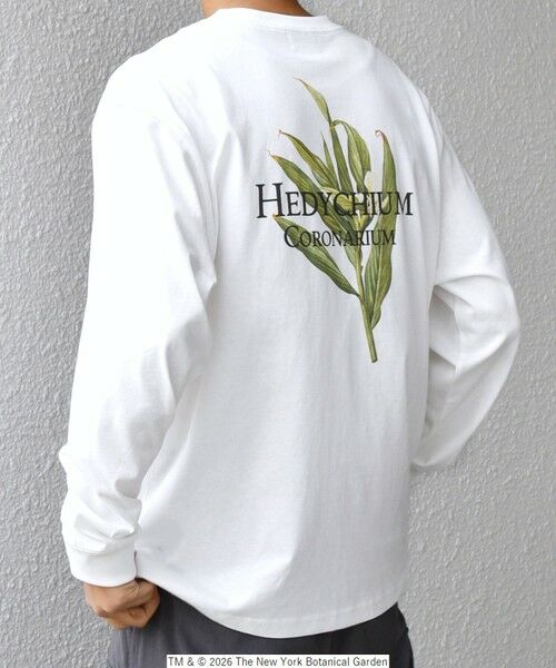 SHIPS / シップス Tシャツ | 【SHIPS any別注】NYBG: ボタニカル プリント リラックス Tシャツ (ロンT)◆ | 詳細5