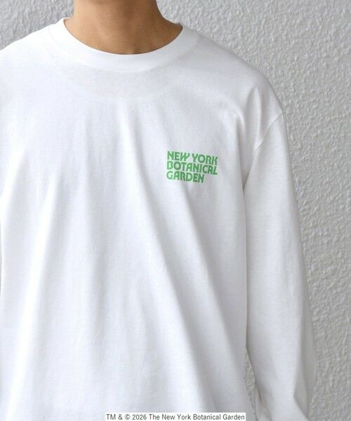 SHIPS / シップス Tシャツ | 【SHIPS any別注】NYBG: ボタニカル プリント リラックス Tシャツ (ロンT)◆ | 詳細6
