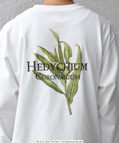 SHIPS / シップス Tシャツ | 【SHIPS any別注】NYBG: ボタニカル プリント リラックス Tシャツ (ロンT)◆ | 詳細7