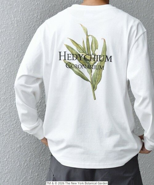 SHIPS / シップス Tシャツ | 【SHIPS any別注】NYBG: ボタニカル プリント リラックス Tシャツ (ロンT)◆（ホワイト）