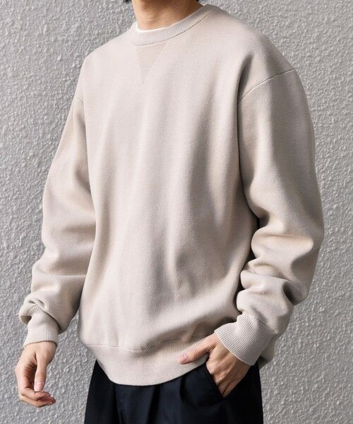 SHIPS / シップス ニット・セーター | SHIPS any:〈手洗い可能〉ミラノリブ コットンライク クルーネック ニット◆（ベージュ）