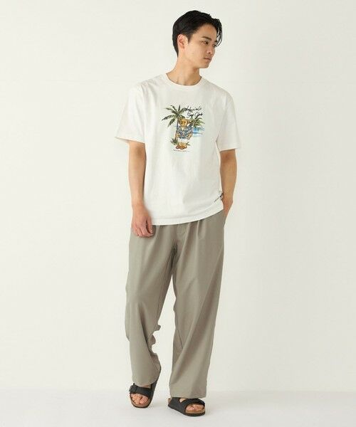 SHIPS / シップス Tシャツ | SHIPS Colors:TeddyBear(R) コラボ Tシャツ◇ | 詳細27