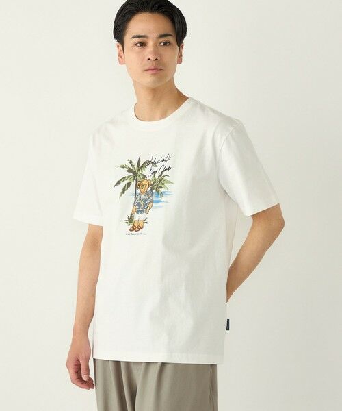 SHIPS / シップス Tシャツ | SHIPS Colors:TeddyBear(R) コラボ Tシャツ◇（ホワイト系）