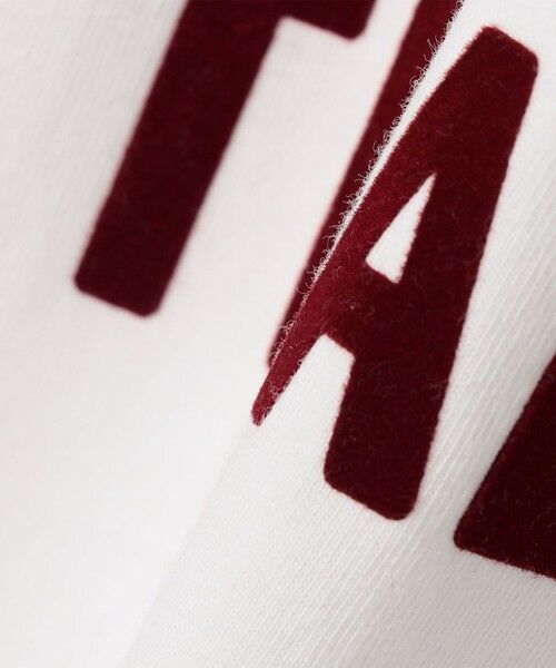 SHIPS / シップス カットソー（半袖以外） | SHIPS Colors:〈洗濯機可能〉26SS フロッキー ロゴ TEE（ロンT） | 詳細7