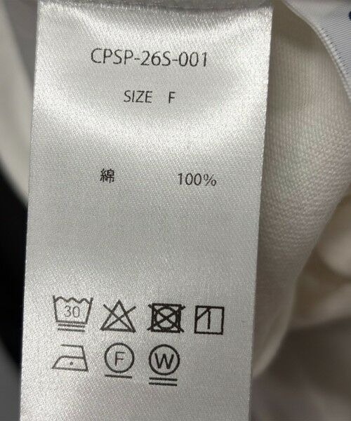 SHIPS / シップス Tシャツ | 【SHIPS any別注】Collegiate Pacific:〈洗濯機可能〉V ガゼット プリント & 刺繍 Tシャツ | 詳細17