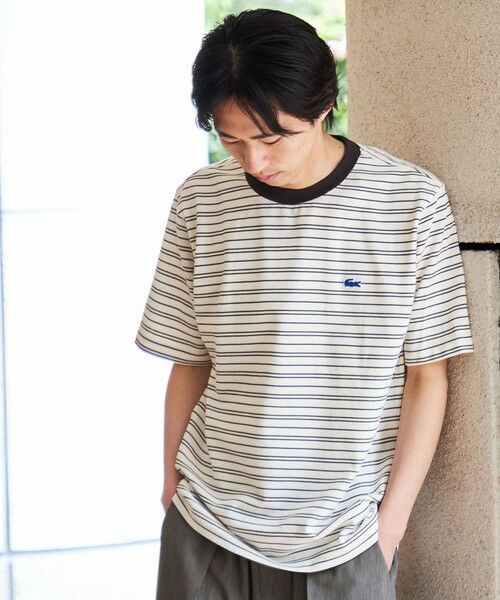 SHIPS / シップス Tシャツ | 【SHIPS別注】LACOSTE: マイクロ ボーダー Tシャツ | 詳細12