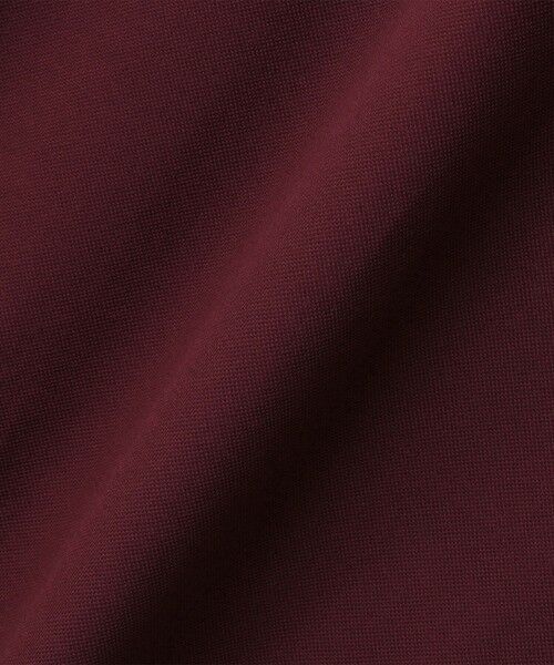 SHIPS / シップス ポロシャツ | SHIPS:〈FUNCTION〉I Cotoni di Albini ショート スリーブ ポロシャツ | 詳細5