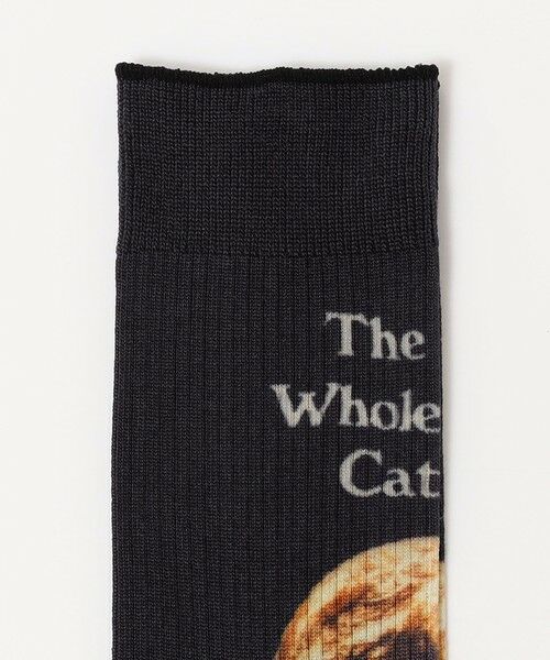 SHIPS / シップス ソックス | ROSTER SOX: WEC | 詳細1