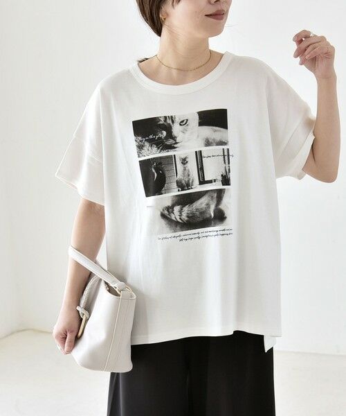 SHIPS / シップス Tシャツ | 《予約》quaranciel:〈接触冷感/汗染み防止加工/洗濯機可能〉CAT プリント TEE | 詳細25