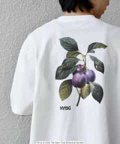 SHIPS / シップス Tシャツ | 【SHIPS any別注】NYBG: ボタニカル プリント リラックス Tシャツ◆