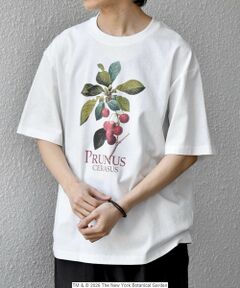 SHIPS / シップス Tシャツ | 【SHIPS any別注】NYBG: ボタニカル プリント リラックス Tシャツ◆