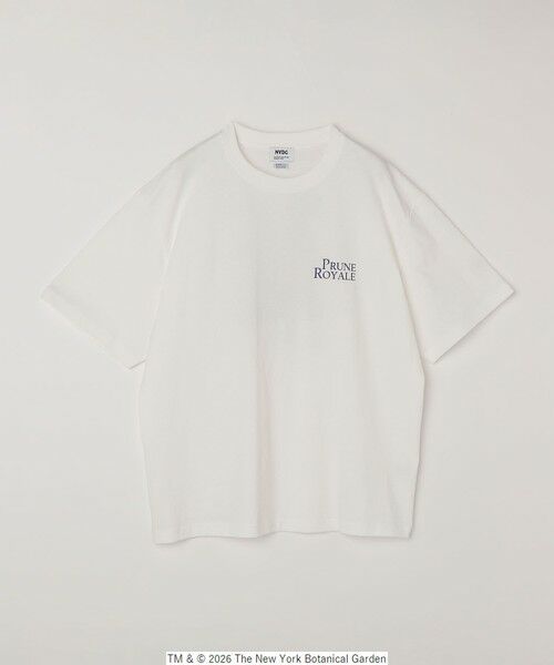 SHIPS / シップス Tシャツ | 【SHIPS any別注】NYBG: ボタニカル プリント リラックス Tシャツ◆ | 詳細7