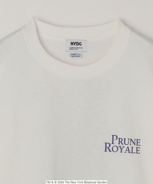 SHIPS / シップス Tシャツ | 【SHIPS any別注】NYBG: ボタニカル プリント リラックス Tシャツ◆ | 詳細8