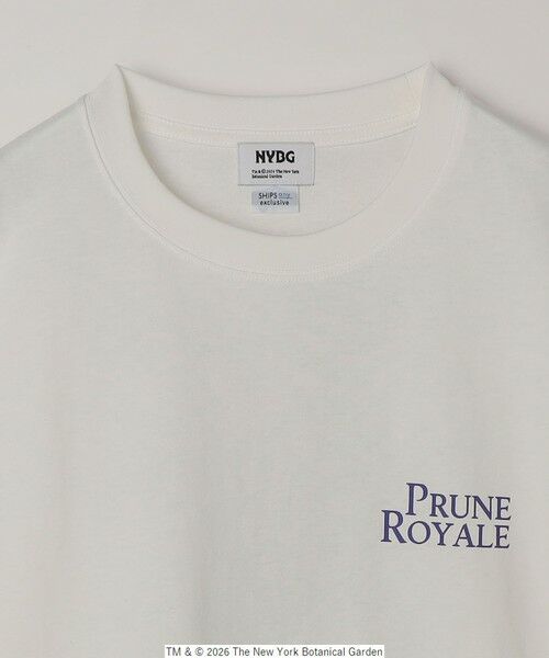 SHIPS / シップス Tシャツ | 【SHIPS any別注】NYBG: ボタニカル プリント リラックス Tシャツ◆ | 詳細11