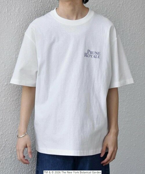 SHIPS / シップス Tシャツ | 【SHIPS any別注】NYBG: ボタニカル プリント リラックス Tシャツ◆ | 詳細3