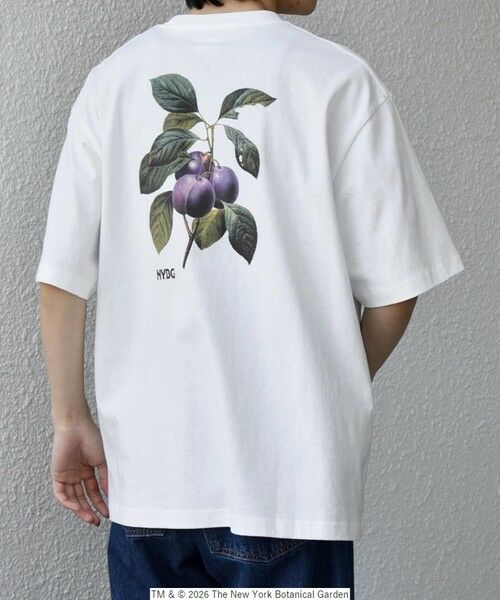 SHIPS / シップス Tシャツ | 【SHIPS any別注】NYBG: ボタニカル プリント リラックス Tシャツ◆ | 詳細4