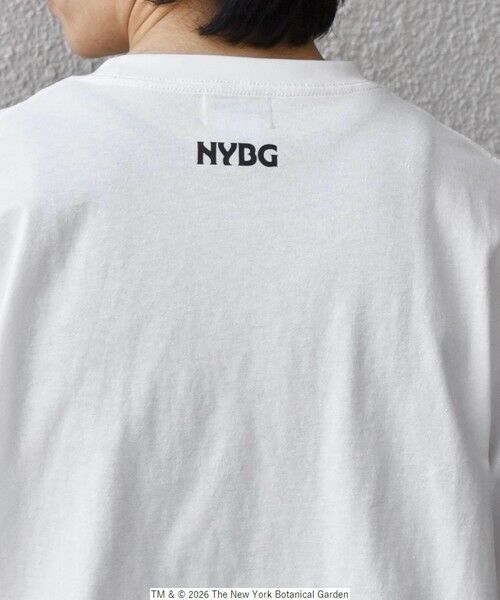 SHIPS / シップス Tシャツ | 【SHIPS any別注】NYBG: ボタニカル プリント リラックス Tシャツ◆ | 詳細18