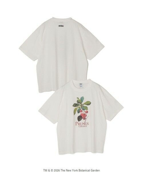 SHIPS / シップス Tシャツ | 【SHIPS any別注】NYBG: ボタニカル プリント リラックス Tシャツ◆ | 詳細19