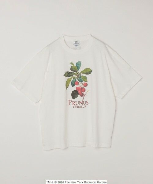 SHIPS / シップス Tシャツ | 【SHIPS any別注】NYBG: ボタニカル プリント リラックス Tシャツ◆ | 詳細20