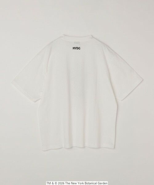 SHIPS / シップス Tシャツ | 【SHIPS any別注】NYBG: ボタニカル プリント リラックス Tシャツ◆ | 詳細21