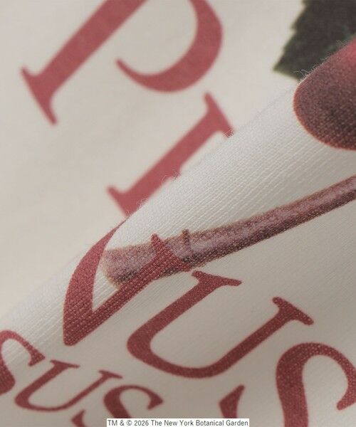 SHIPS / シップス Tシャツ | 【SHIPS any別注】NYBG: ボタニカル プリント リラックス Tシャツ◆ | 詳細22