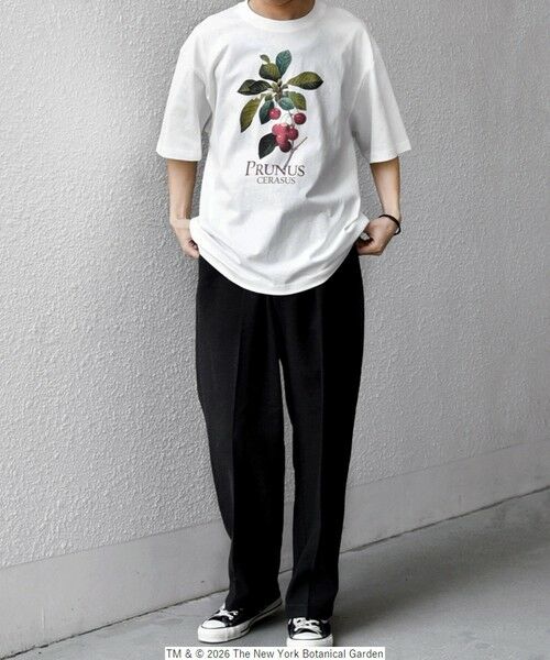 SHIPS / シップス Tシャツ | 【SHIPS any別注】NYBG: ボタニカル プリント リラックス Tシャツ◆ | 詳細14