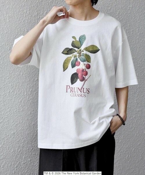 SHIPS / シップス Tシャツ | 【SHIPS any別注】NYBG: ボタニカル プリント リラックス Tシャツ◆ | 詳細16