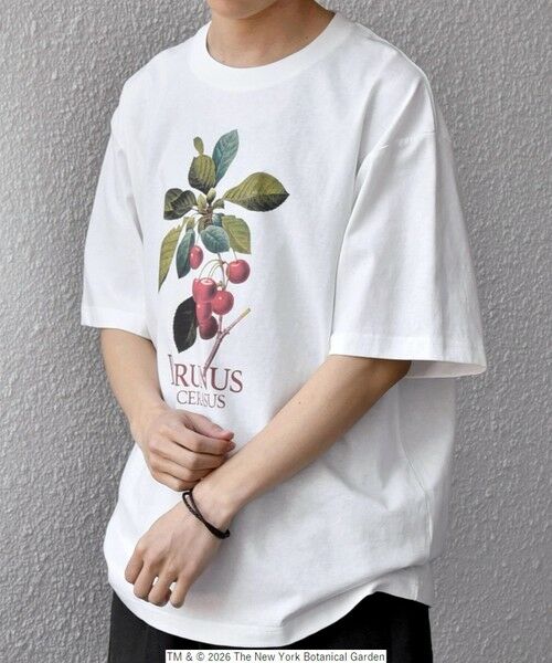 SHIPS / シップス Tシャツ | 【SHIPS any別注】NYBG: ボタニカル プリント リラックス Tシャツ◆ | 詳細17