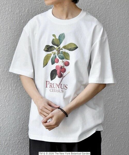 SHIPS / シップス Tシャツ | 【SHIPS any別注】NYBG: ボタニカル プリント リラックス Tシャツ◆（ホワイトその他）