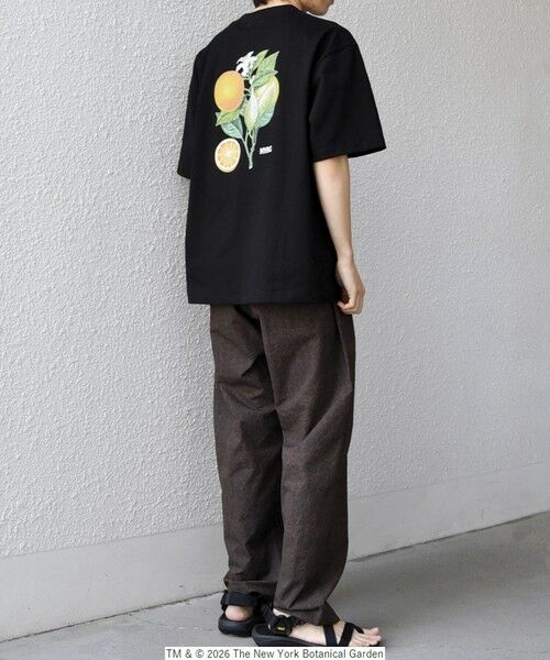 SHIPS / シップス Tシャツ | 【SHIPS any別注】NYBG: ボタニカル プリント リラックス Tシャツ◆ | 詳細24