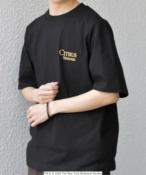 SHIPS / シップス Tシャツ | 【SHIPS any別注】NYBG: ボタニカル プリント リラックス Tシャツ◆ | 詳細25