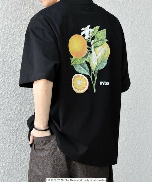 SHIPS / シップス Tシャツ | 【SHIPS any別注】NYBG: ボタニカル プリント リラックス Tシャツ◆ | 詳細26