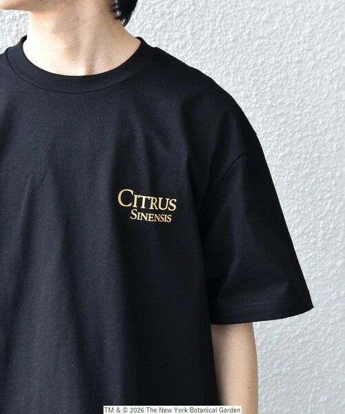 SHIPS / シップス Tシャツ | 【SHIPS any別注】NYBG: ボタニカル プリント リラックス Tシャツ◆ | 詳細27