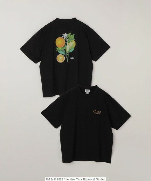 SHIPS / シップス Tシャツ | 【SHIPS any別注】NYBG: ボタニカル プリント リラックス Tシャツ◆ | 詳細28