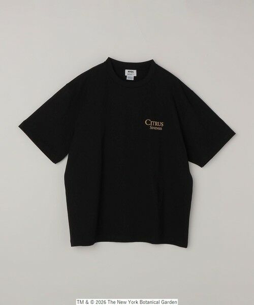 SHIPS / シップス Tシャツ | 【SHIPS any別注】NYBG: ボタニカル プリント リラックス Tシャツ◆ | 詳細29