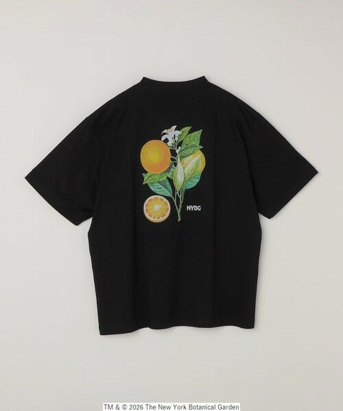 SHIPS / シップス Tシャツ | 【SHIPS any別注】NYBG: ボタニカル プリント リラックス Tシャツ◆ | 詳細30