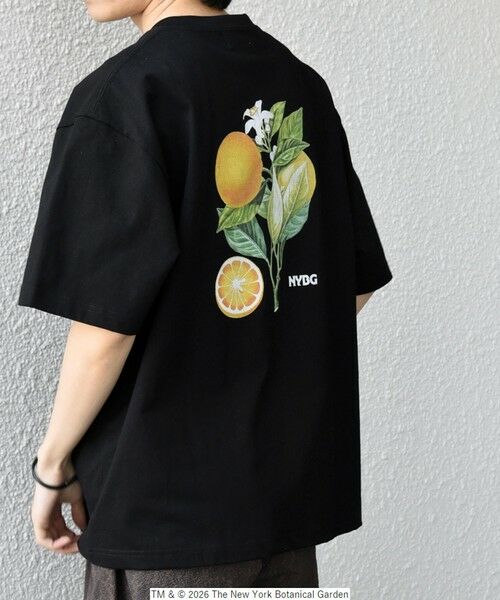 SHIPS / シップス Tシャツ | 【SHIPS any別注】NYBG: ボタニカル プリント リラックス Tシャツ◆（ブラック）